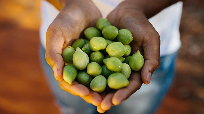 Celebrating Kakadu Plum: The Star Ingredient in Our New Skincare Line