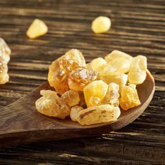 Wildwood Spice Beard Oil